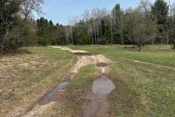 Deward Spur