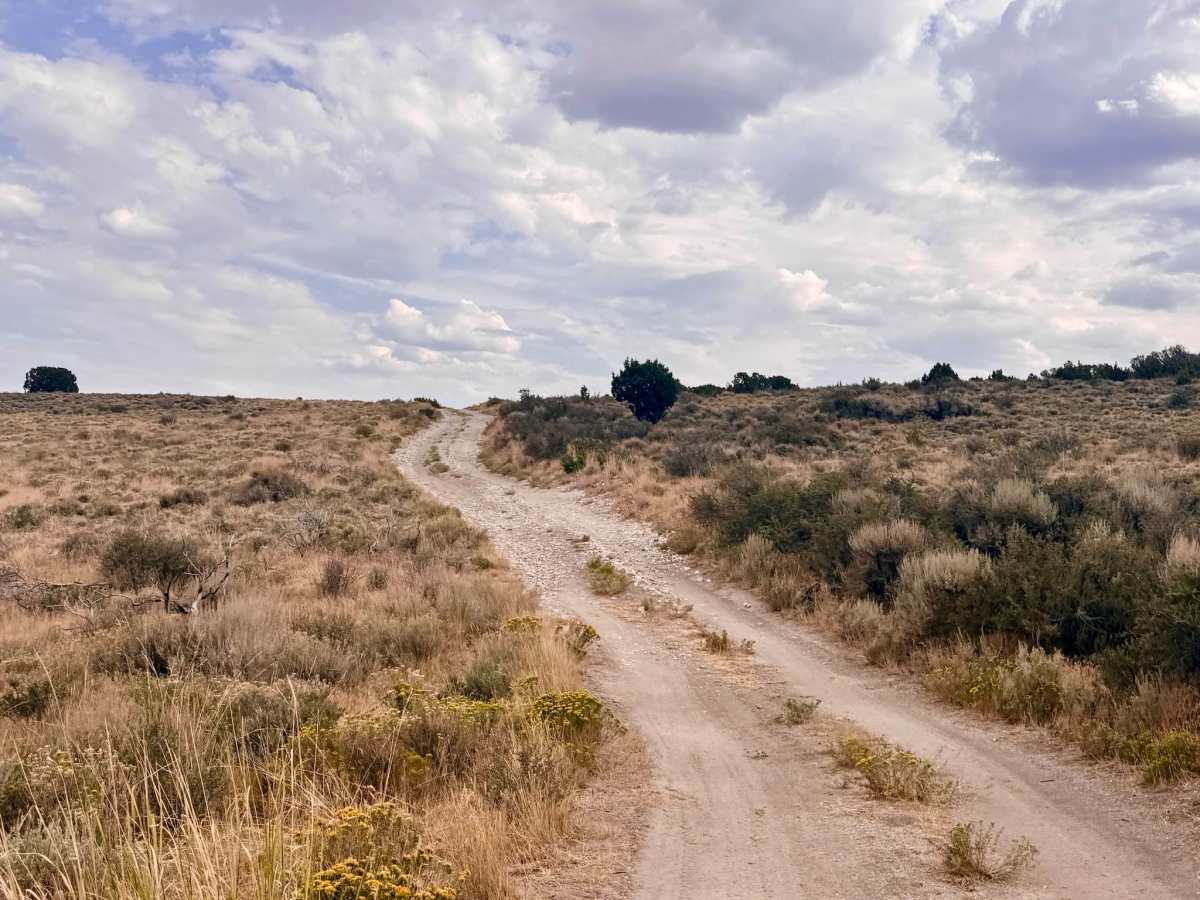 Jerry Crab Spur A - FS 57504A photo 5