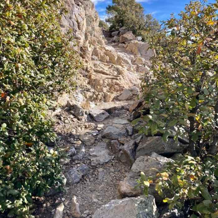 Near Mt. Wrightson via Old Baldy Trail