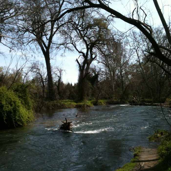 Near Bidwell Park - Lower Park Path