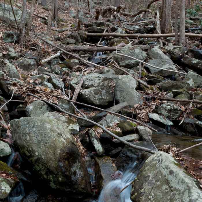 Near Grassy Mountain Loop via Emery Creek