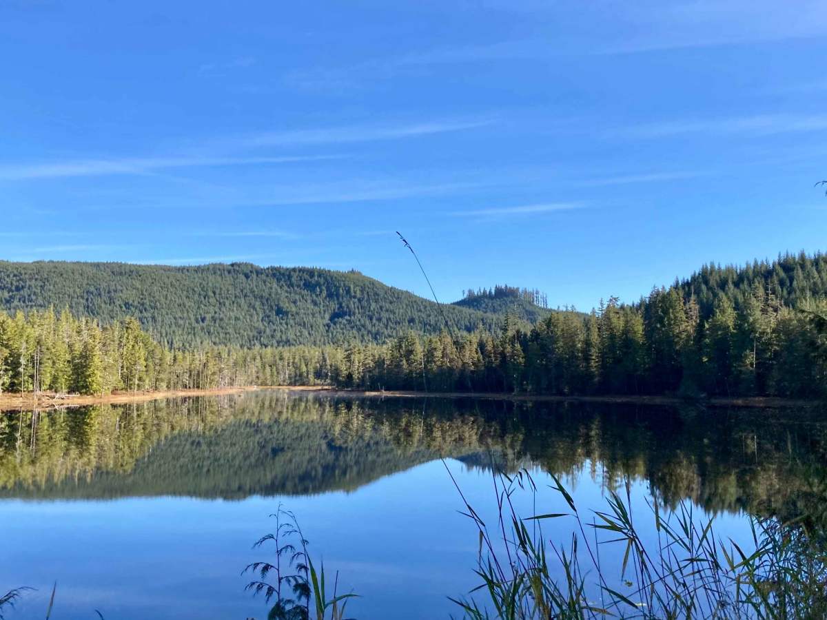 Loon Lake Road - FS 2060100 photo 3