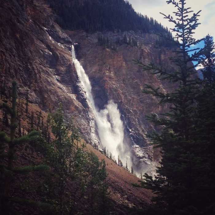 Near Laughing Falls Trail