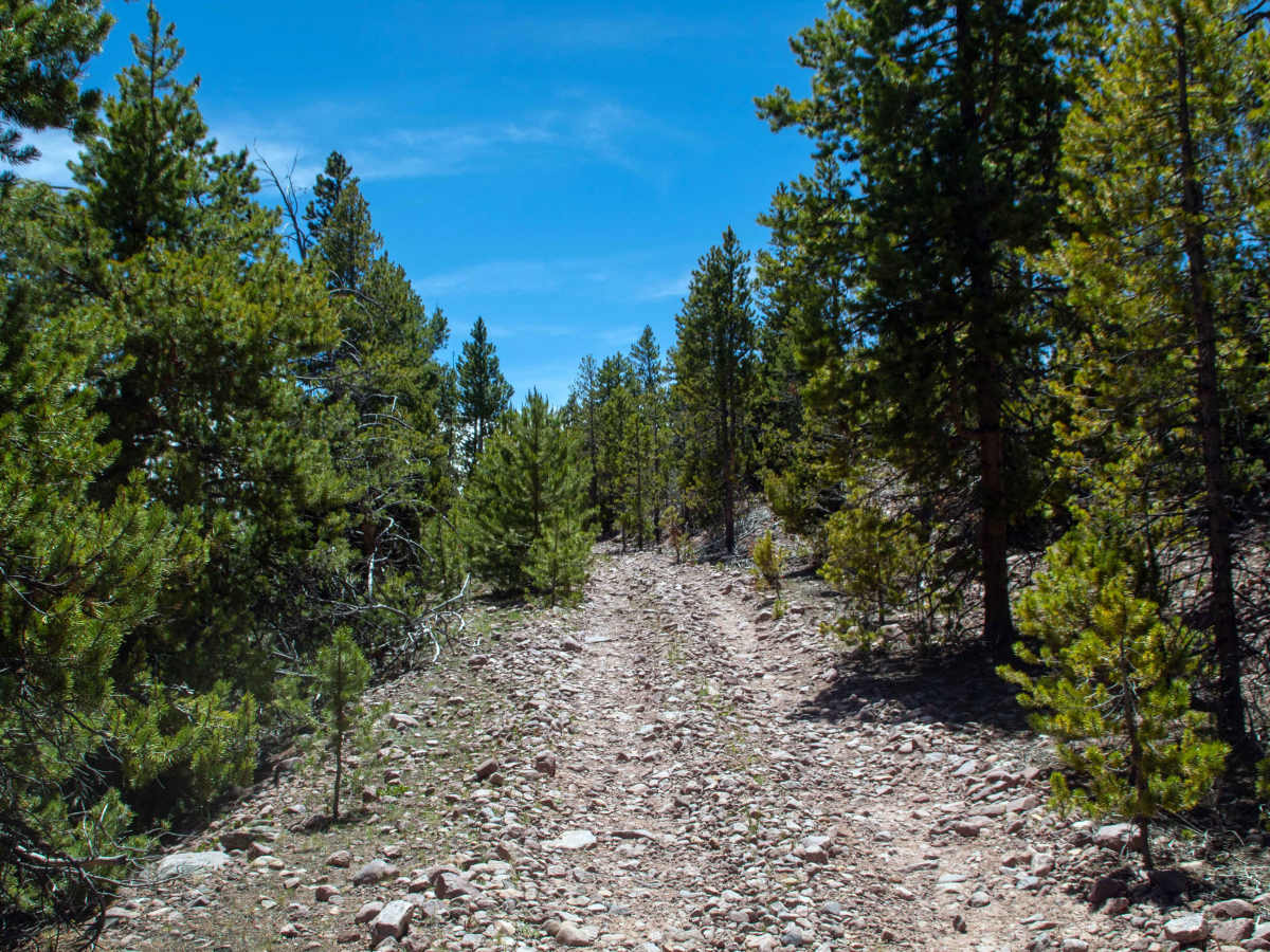 Johnson Meadow - FS 80207 photo 2