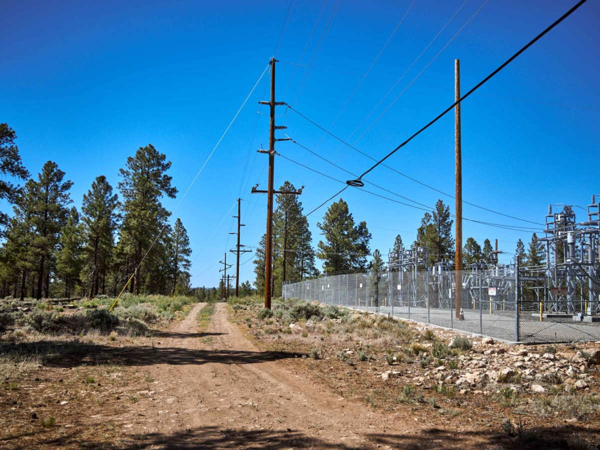 605 Road trail photo
