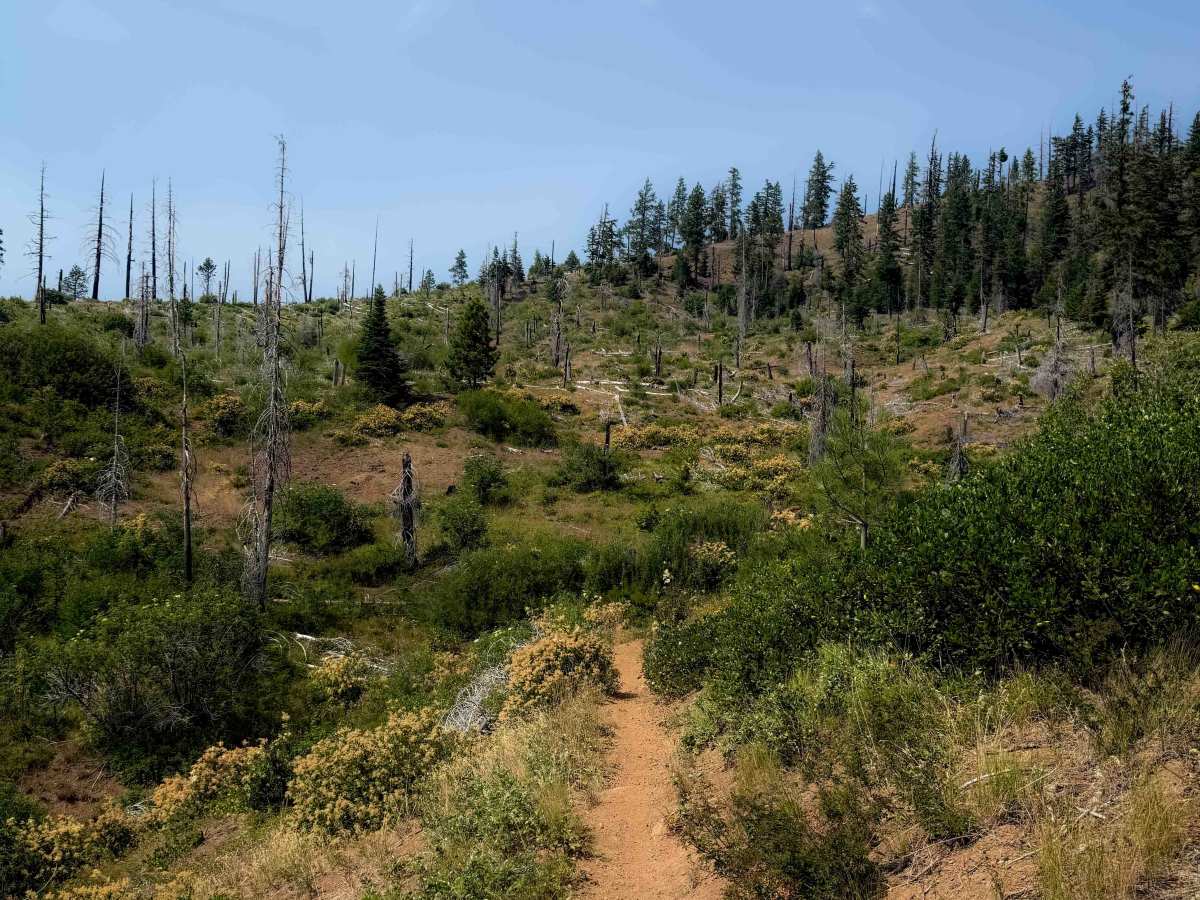 Sasse Mountain (Lower) 1340  photo 6