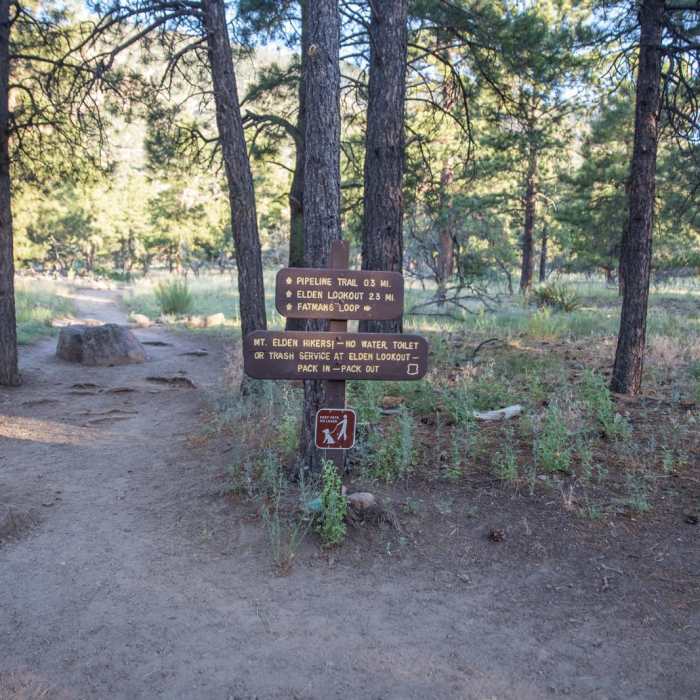 Near Elden Lookout Trail