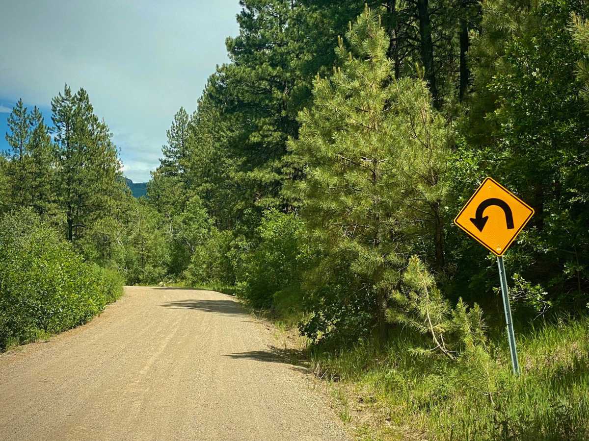 Fawn Gulch-Fr Rd 666 photo 2