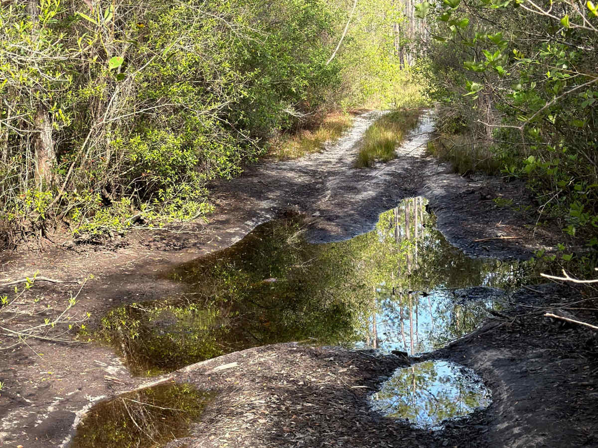 FS 105-D trail photo