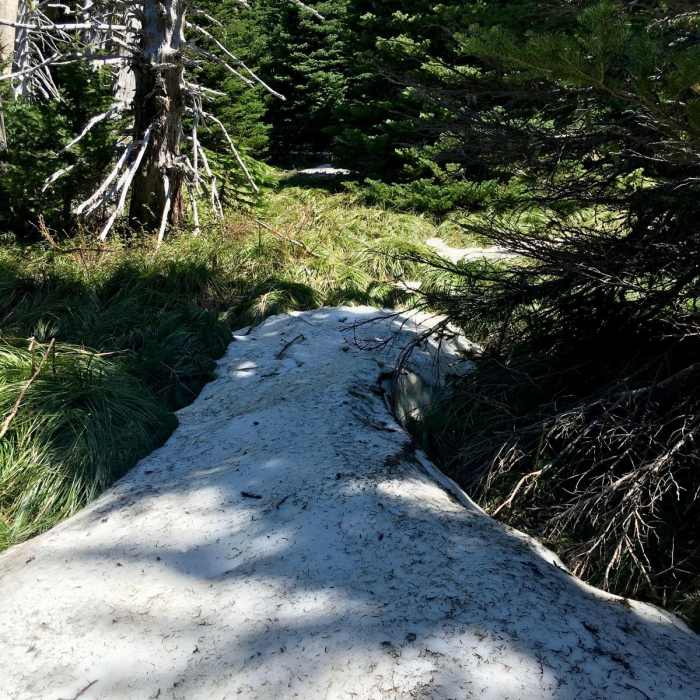 Near Crescent Mountain