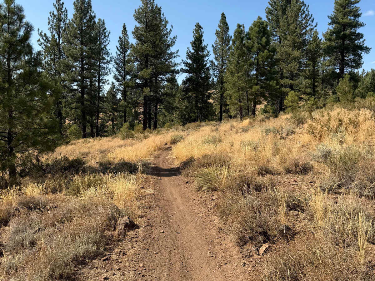 Beer Run Trail Lower photo 2