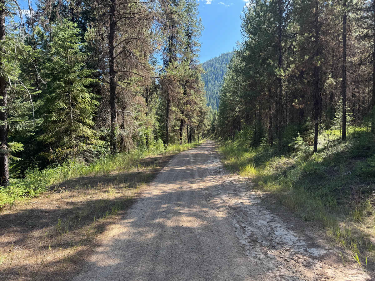 Rock Creek Road - FSR 444 photo 6