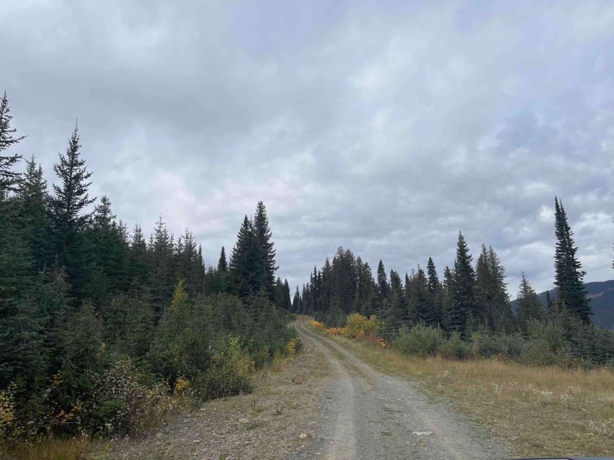 Raydar Rd photo 6