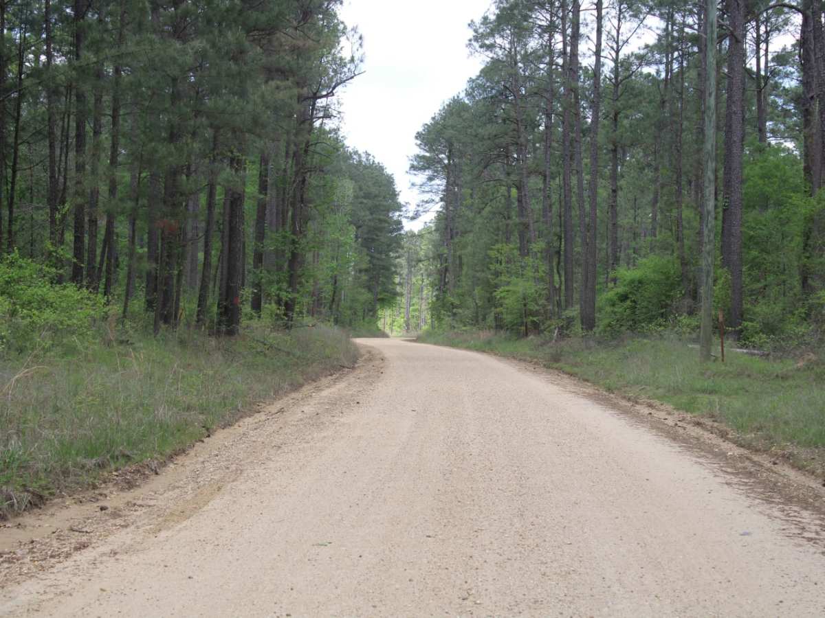 The Arkansas Overland Route - TrailHawk Loop - Section 26 photo 5