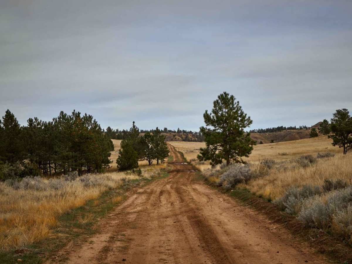 Reanus Cone Trail Part 1 photo 3
