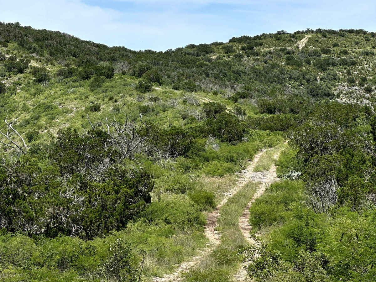 Tower Road trail photo
