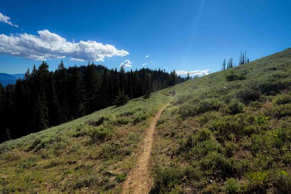 Gold Creek - FS 966