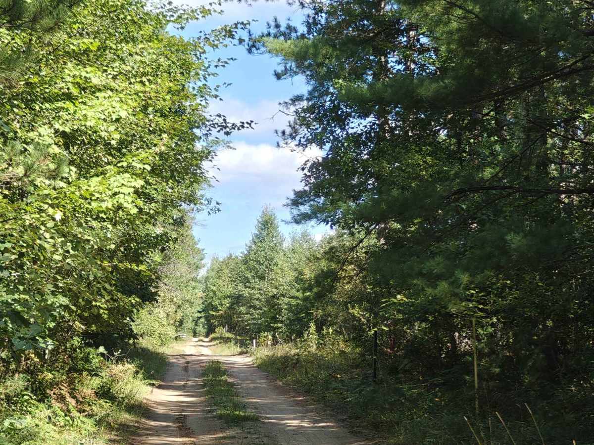 Oil Pump Trail photo 2