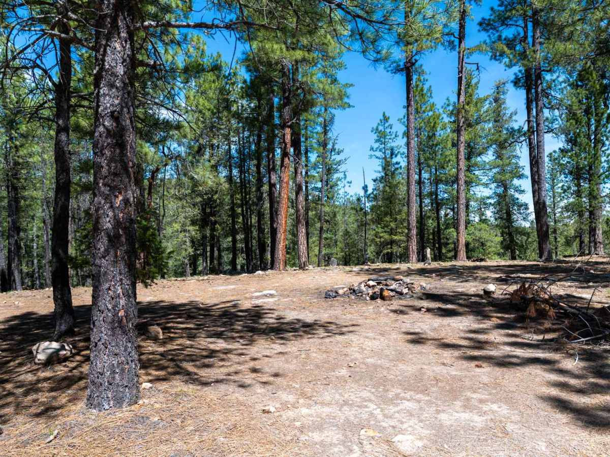 Knoll Ridge - FS 295 photo 5