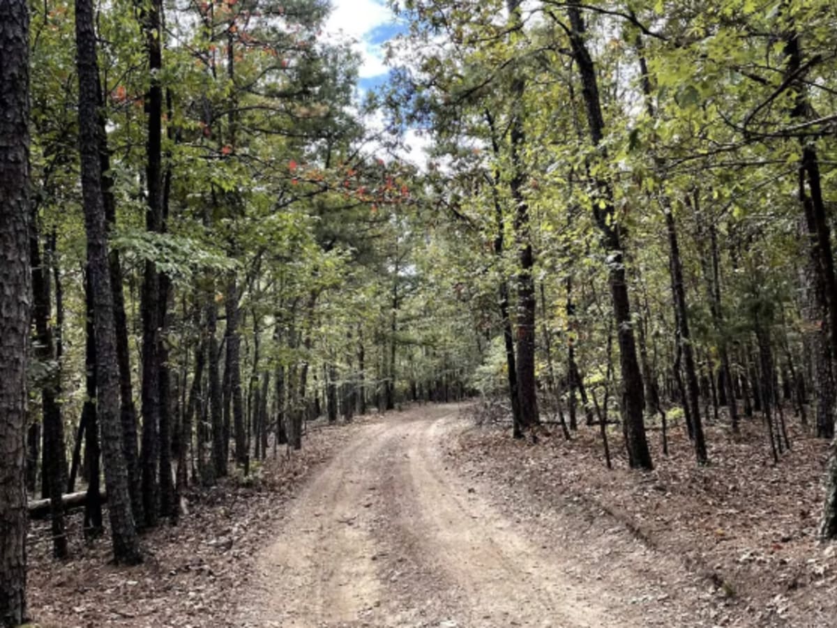 A8 Brandon's Run trail photo
