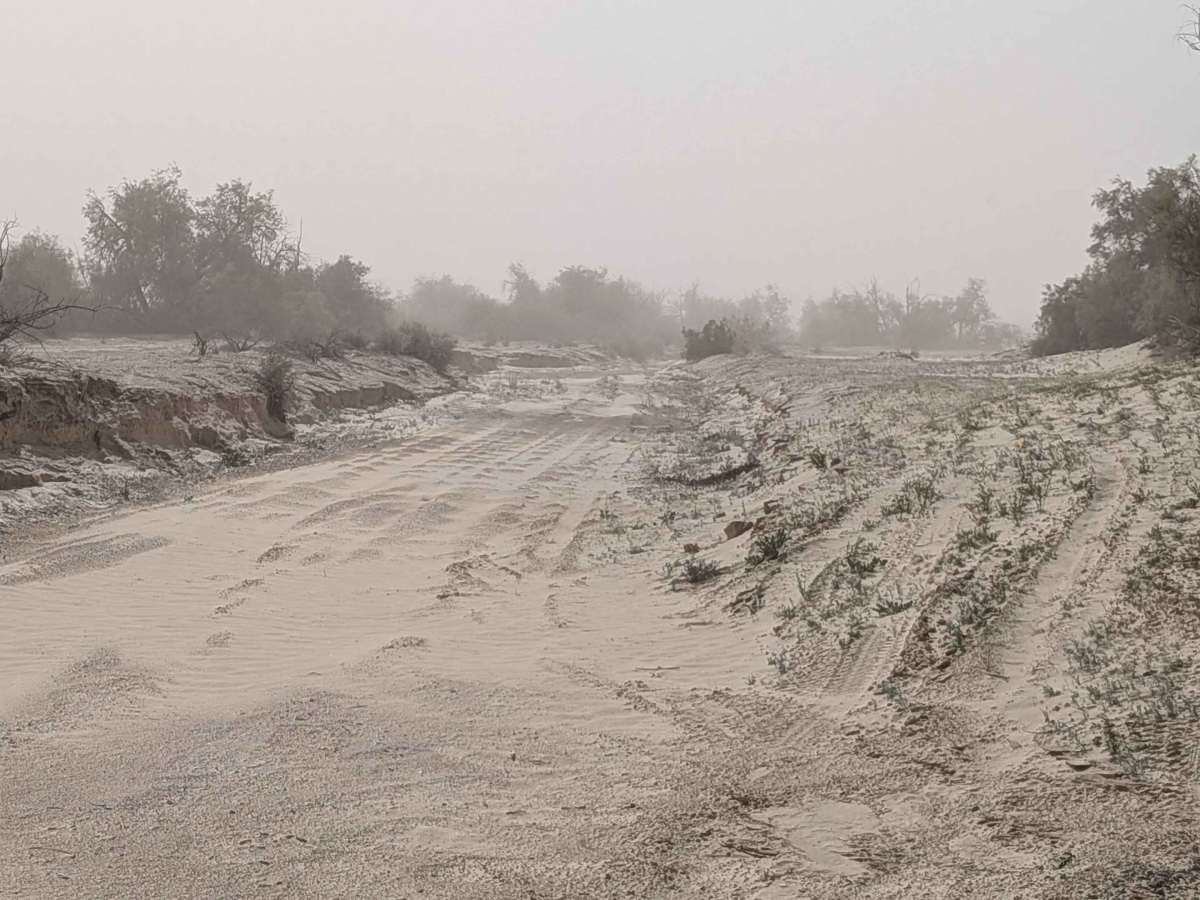 Morales Wash photo 4