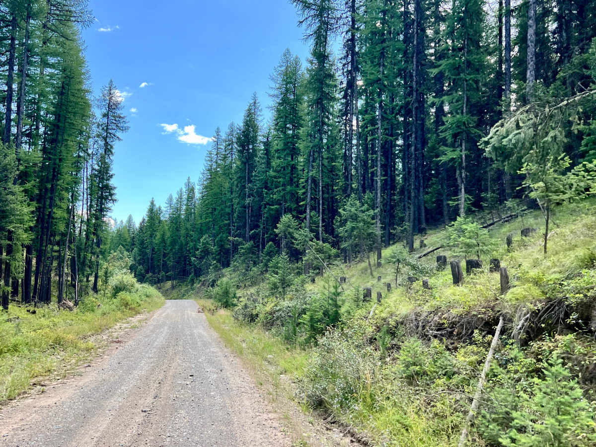 Meadow Creek Road photo 6