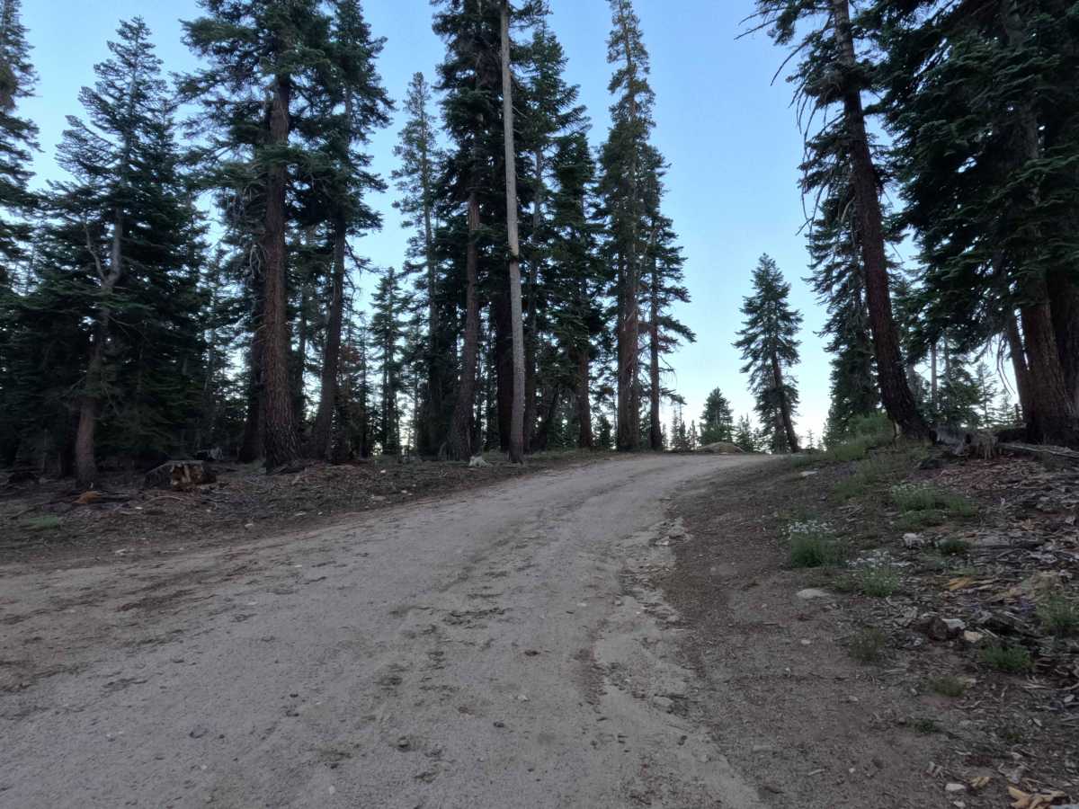 Willow Creek Road - FS 31051D photo 4