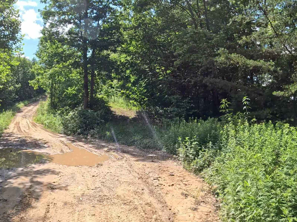 KC2D trail photo