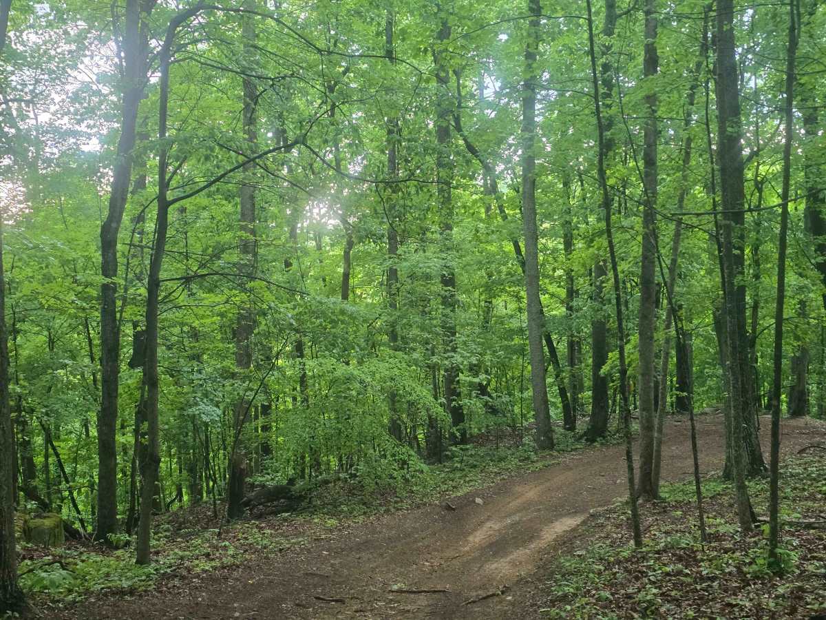 Trail 49 photo 2
