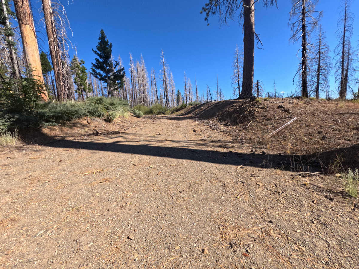 East Government Creek - FS 23N27 photo 3