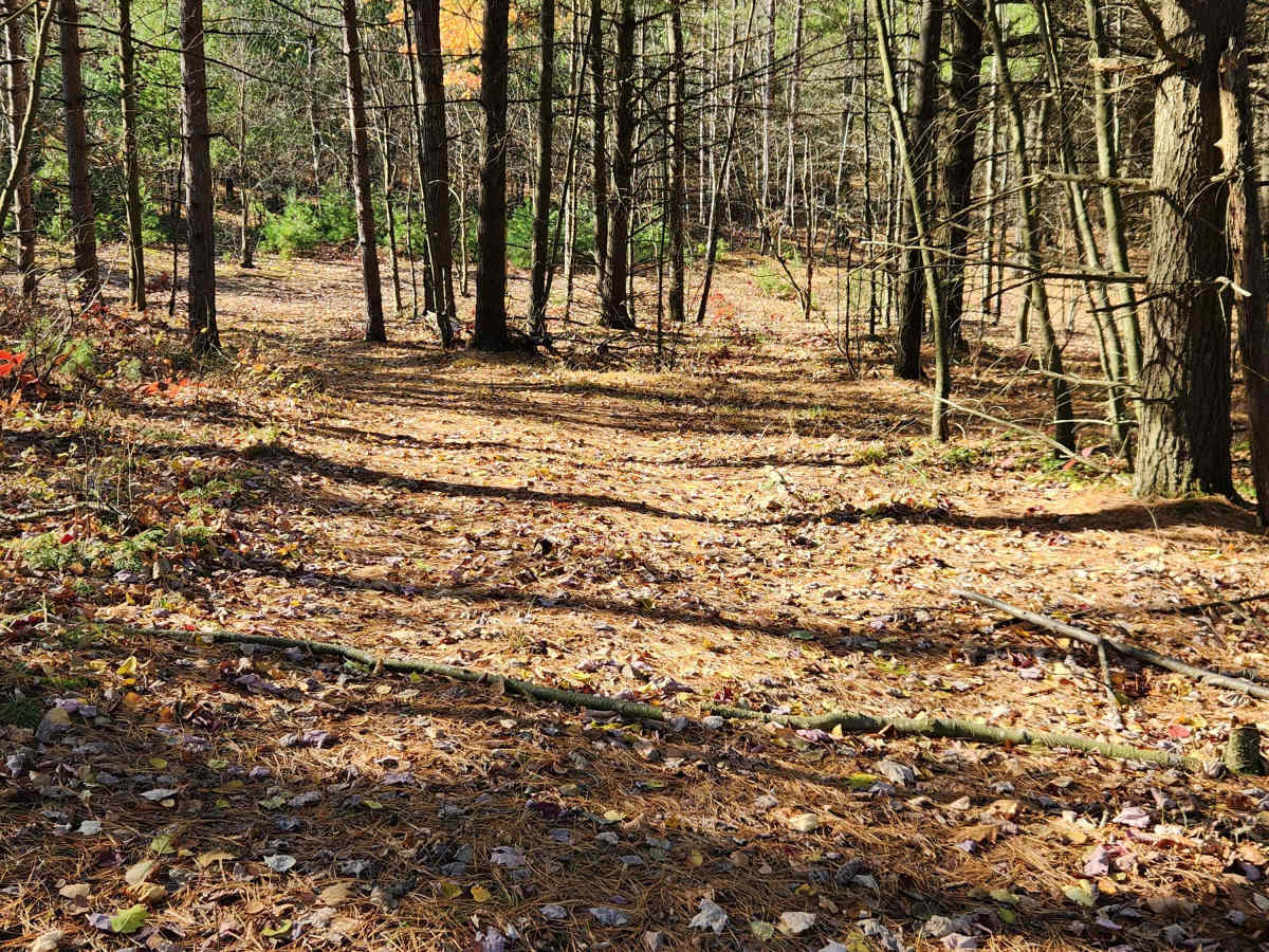 OHV 2 - Rock Run Recreation Area trail photo