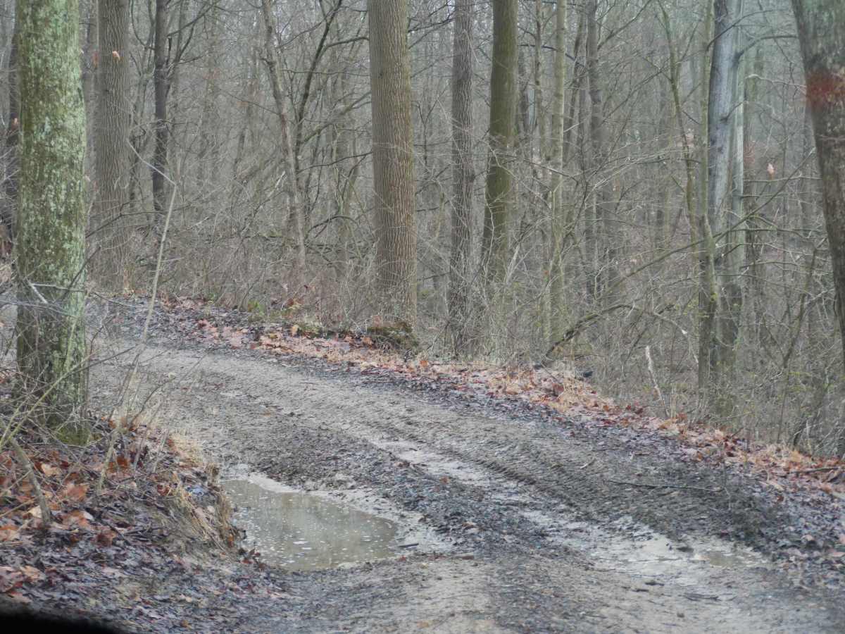 Trail 9 photo 4