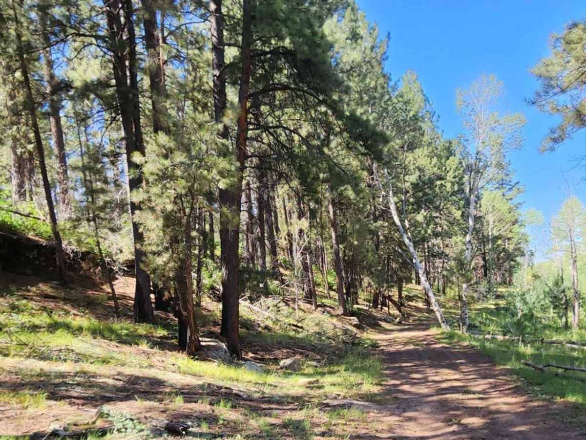 Beaver Point Road photo 5