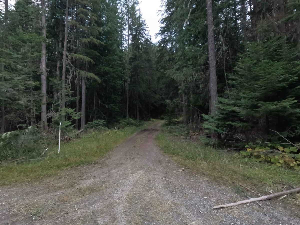 Dry Canyon Ridge - FS 1933300 trail photo
