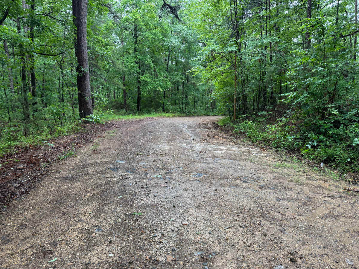 West Gaston photo 5