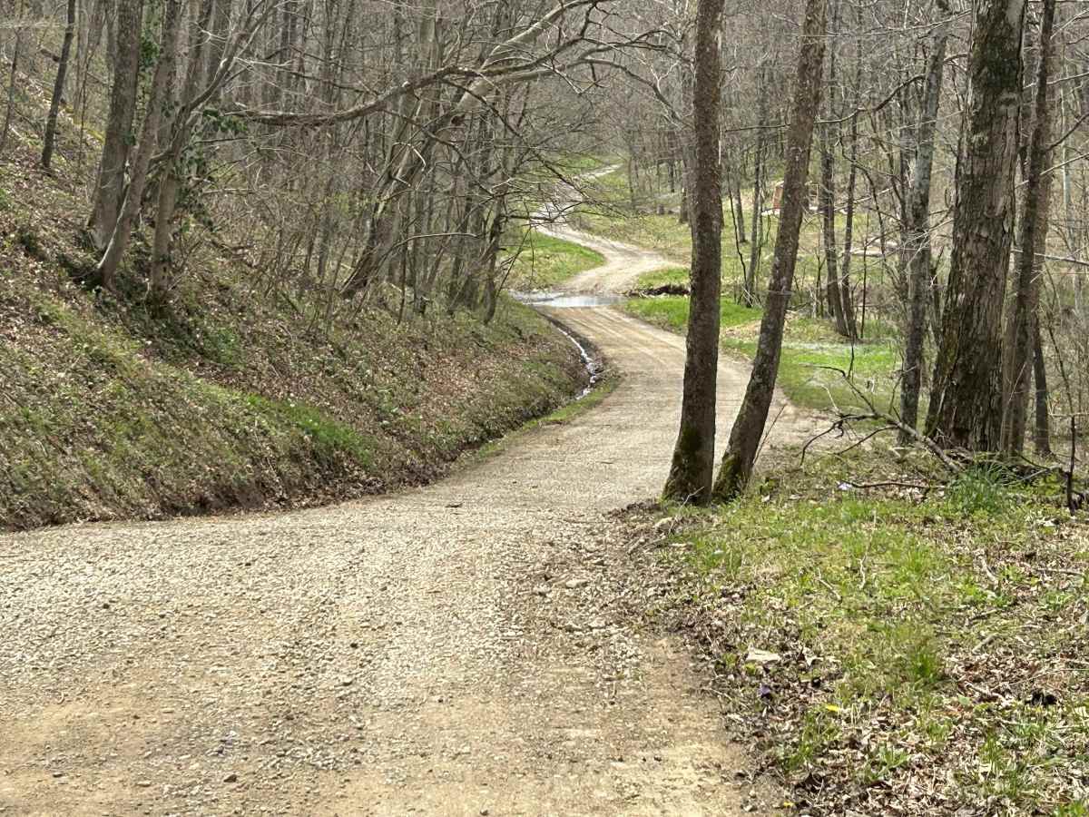 Peggs Fork Road  trail photo