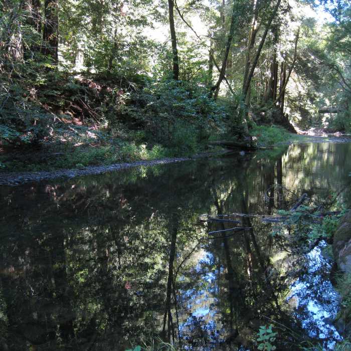 Near Cross Marin Trail