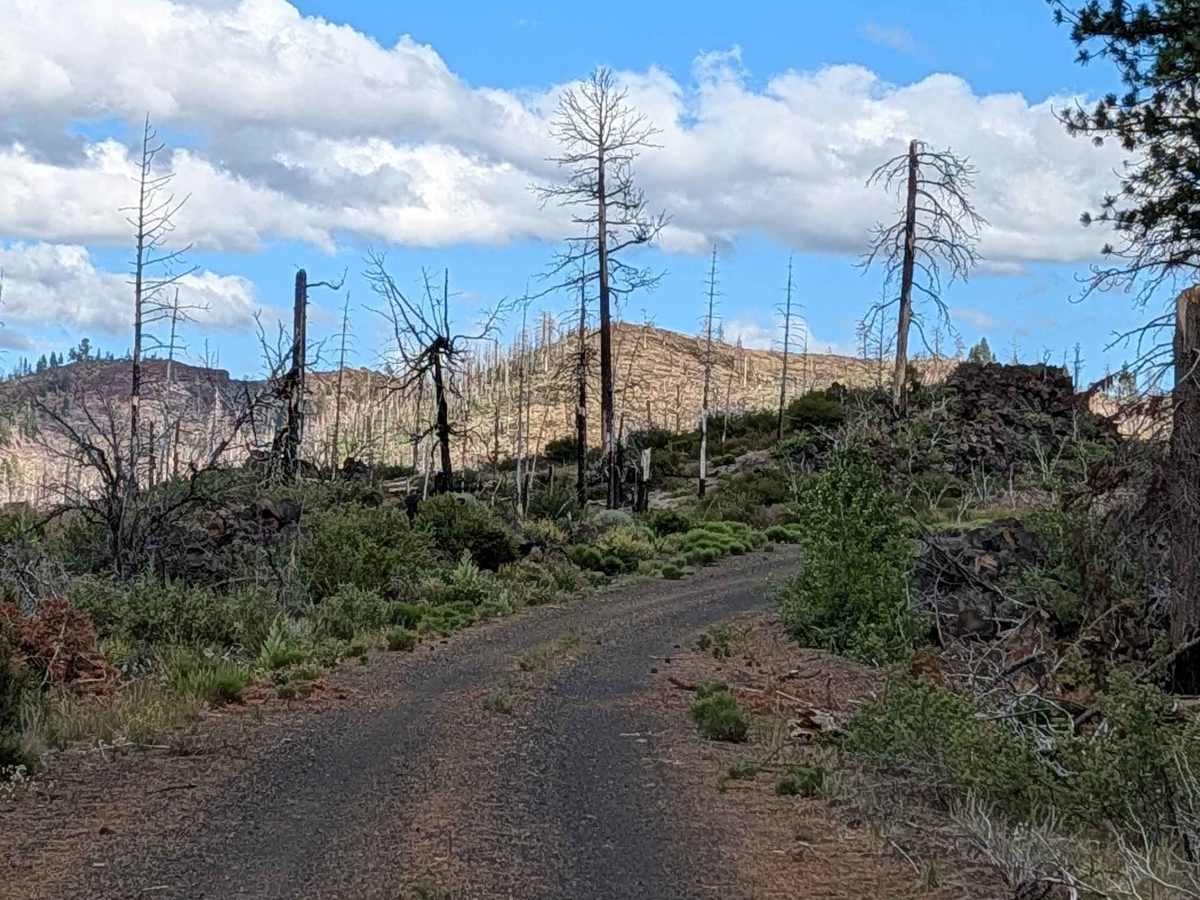 Tennant Lava Bed Road - FS 44N28 photo 5