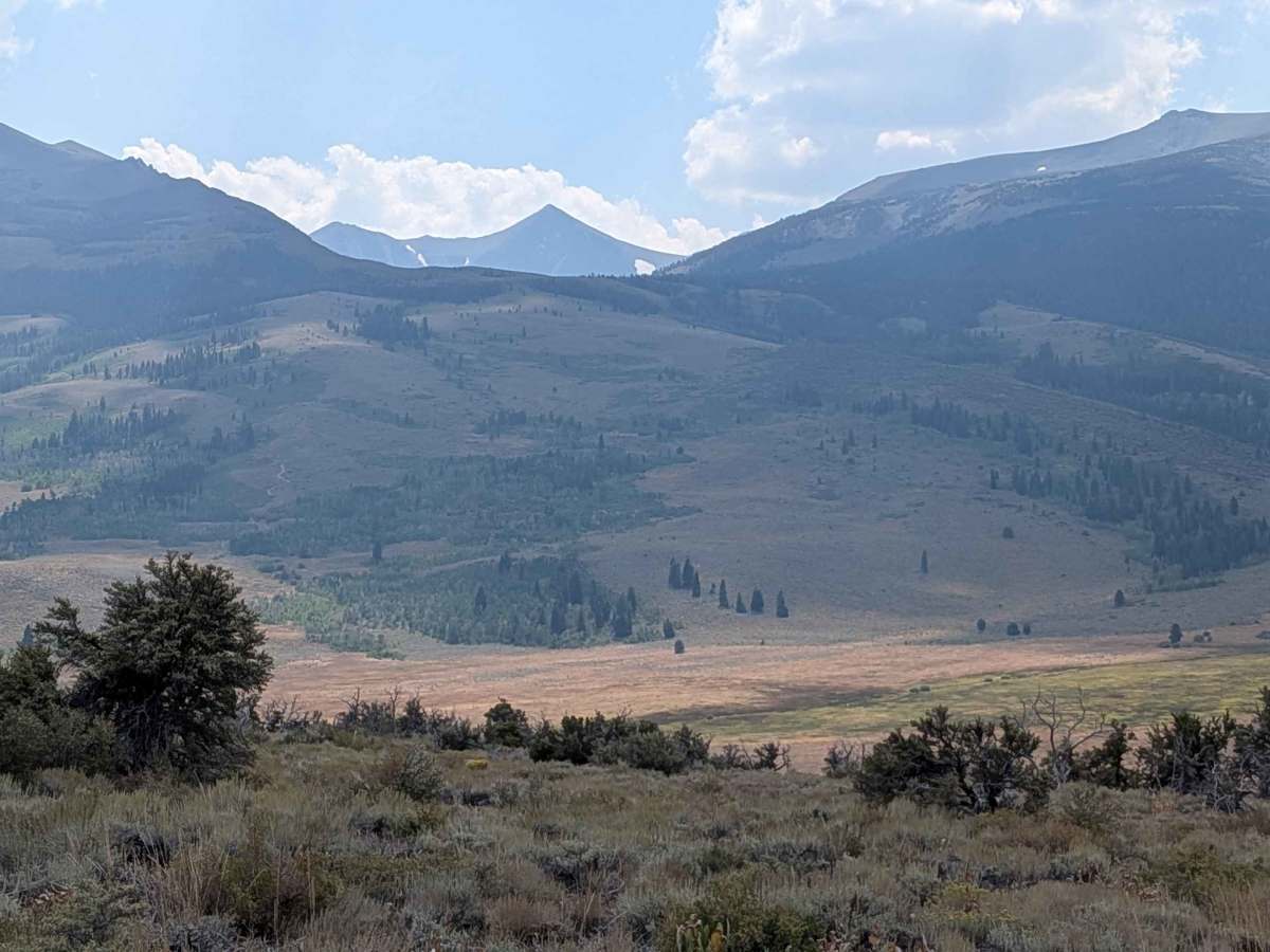 Meadows Way - FS 32144A photo 2