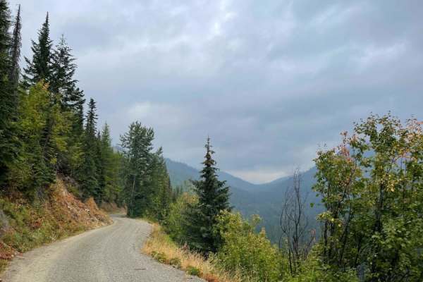 Trestle Creek Trail