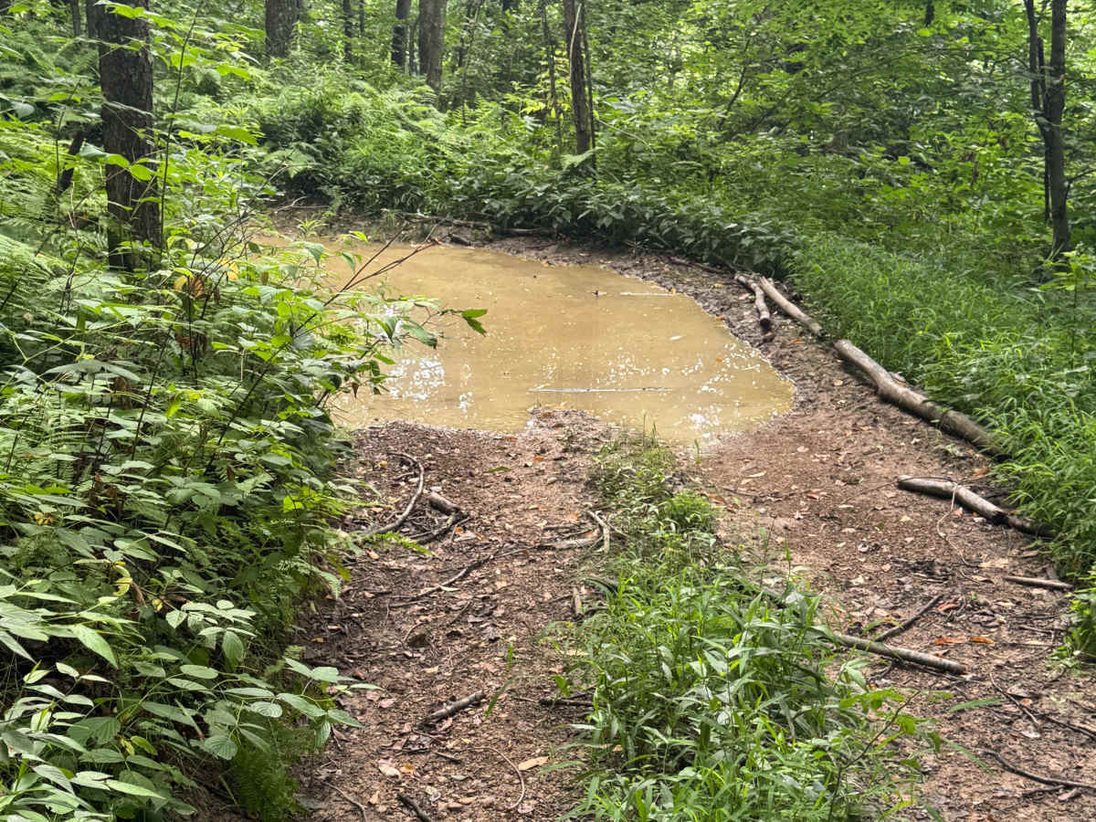 Trail 69 photo 6