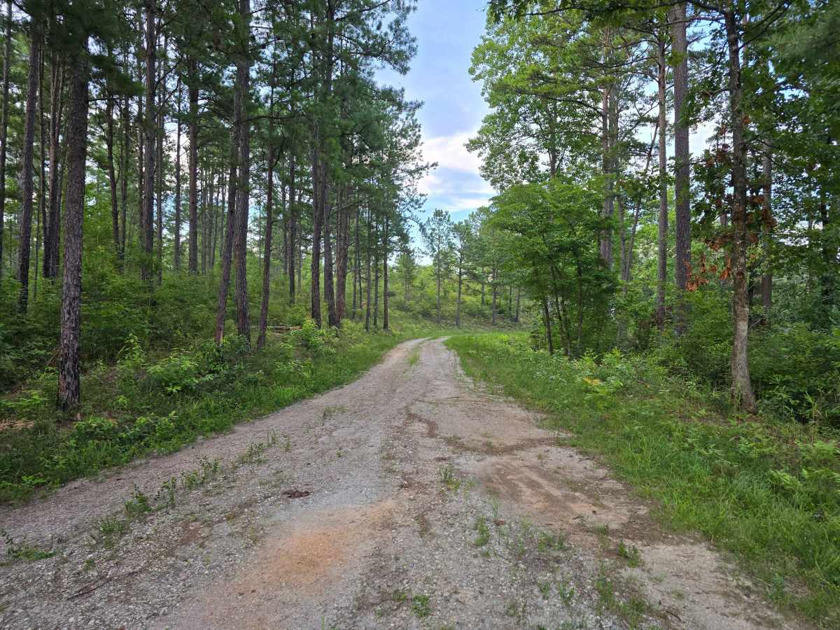 Chambers Branch - FS 736 photo 3
