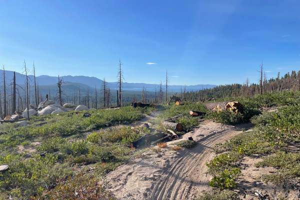 Sierra Sidewinder Trail