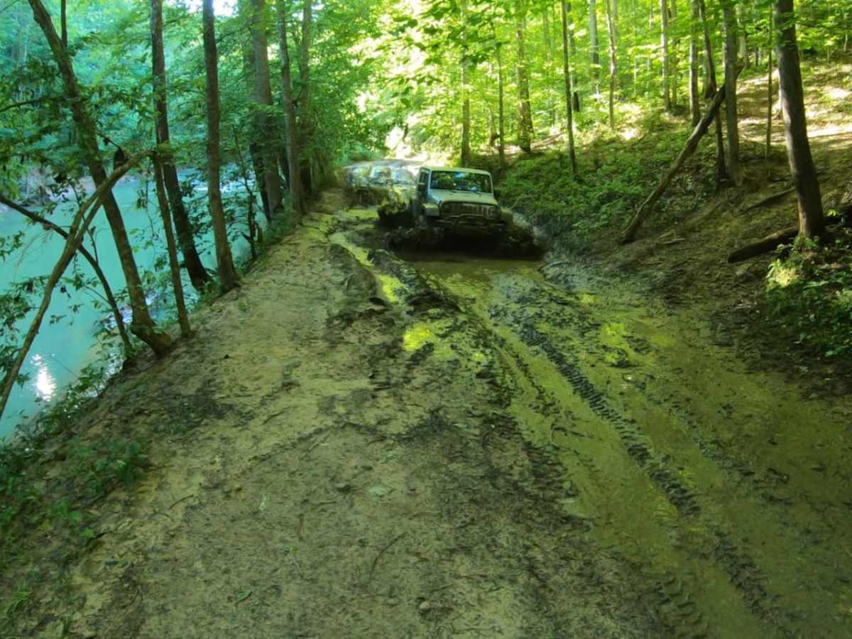 Kingston S-Tree Area trail photo