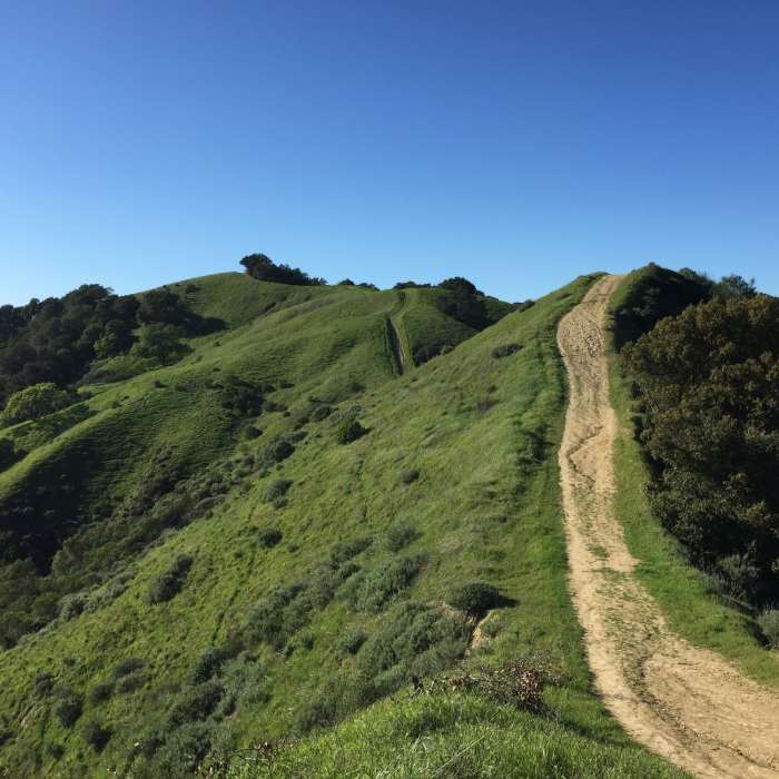 Near Lafayette Ridge Trail