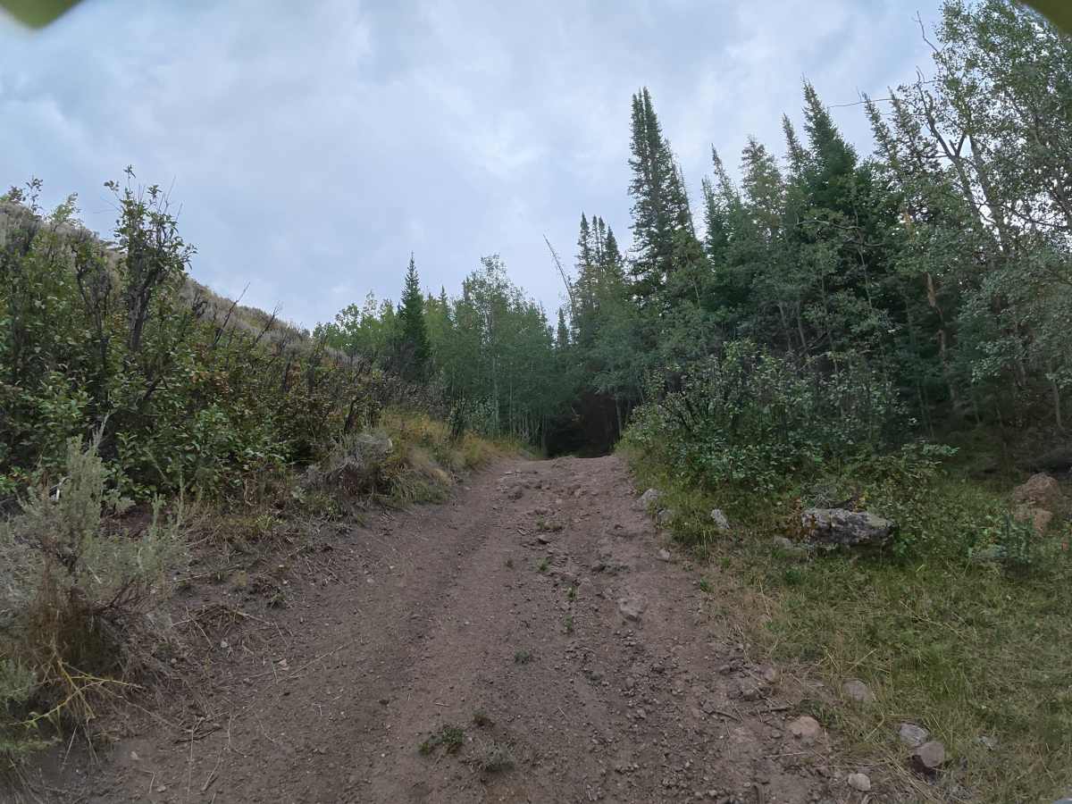 Long Lake Road photo 4