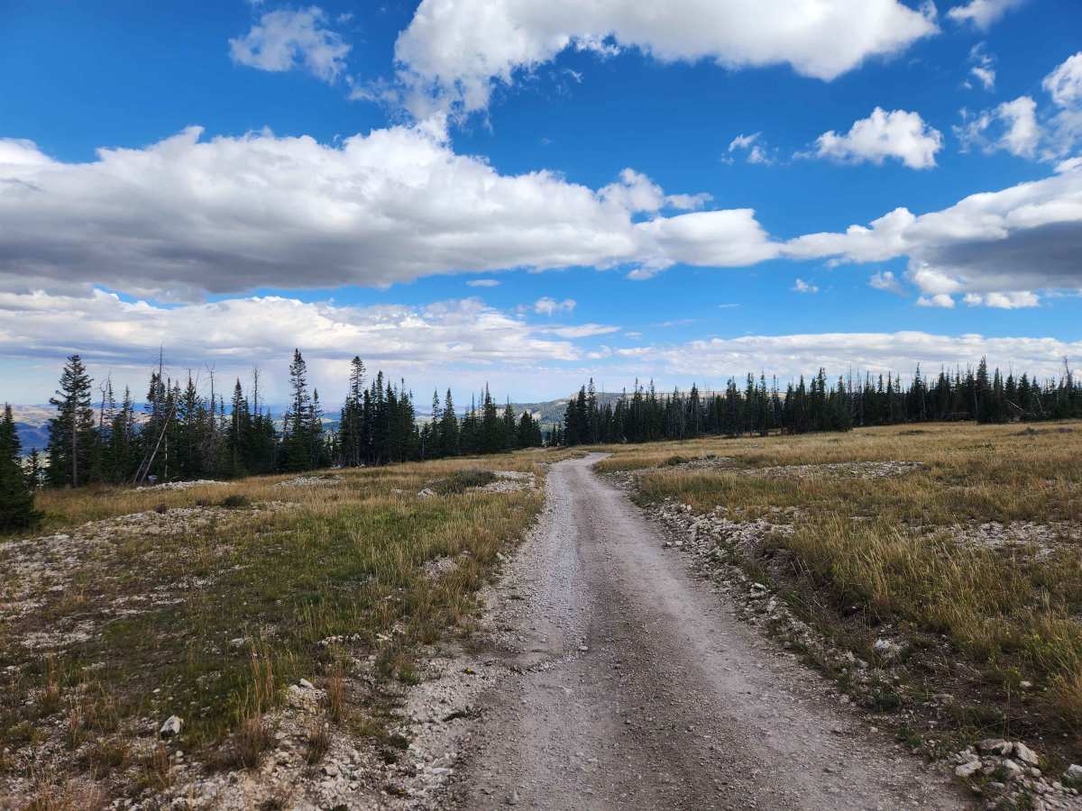 Blue Lake Campground - FS 50013 trail photo
