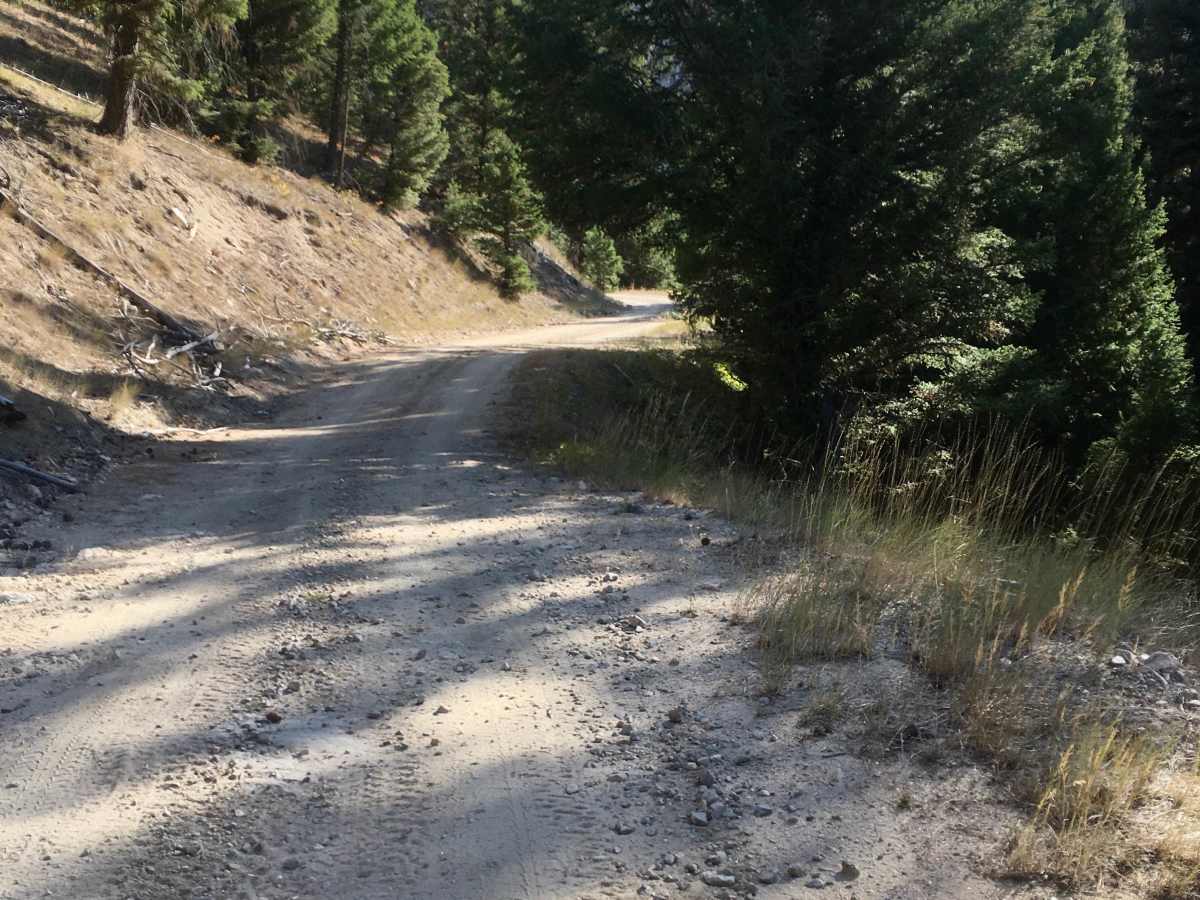Reynolds Ridge Road - FS 5770 trail photo