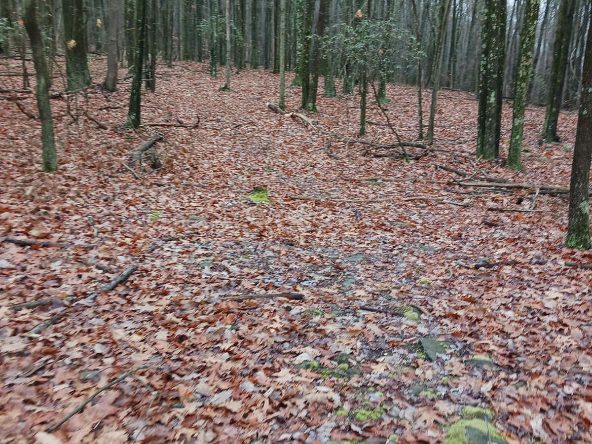 OHV 37 - Rock Run Recreation Area photo 3