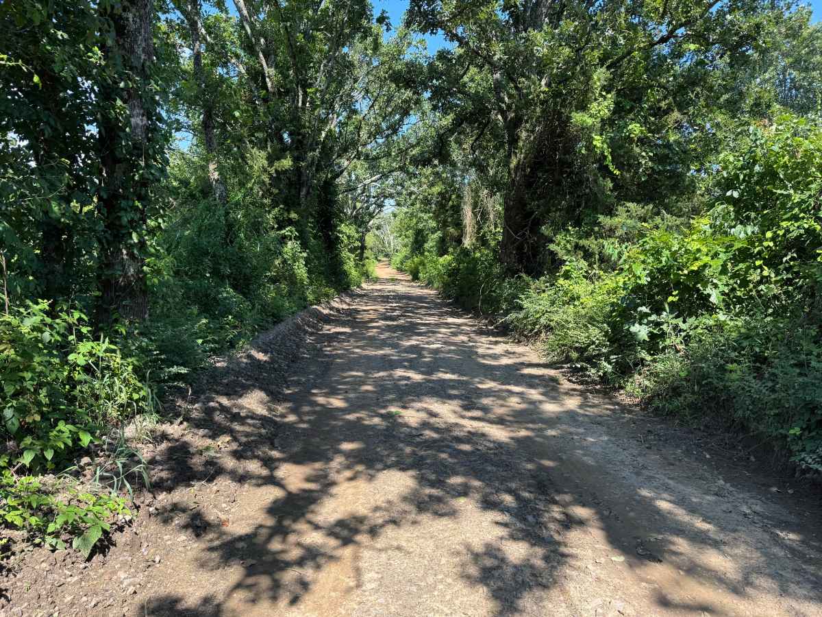 County Road 4015 photo 4